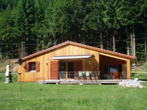 Chalet au bord du lac de Longemer